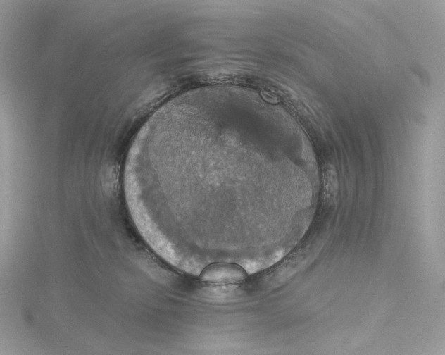 X0000115450278200911251313