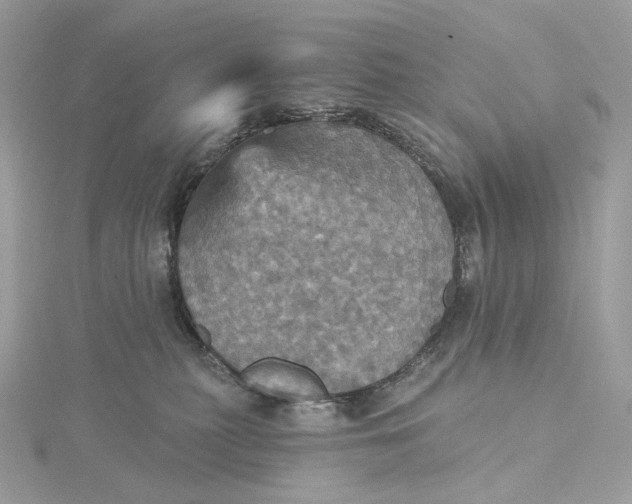 X0000115450279200911251313