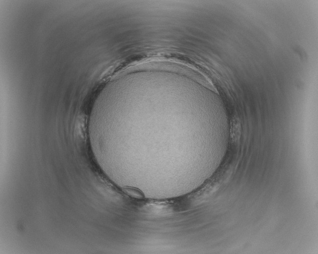 X0000115450280200911251313