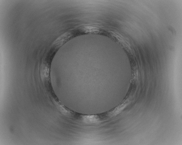 X0000115450281200911251313