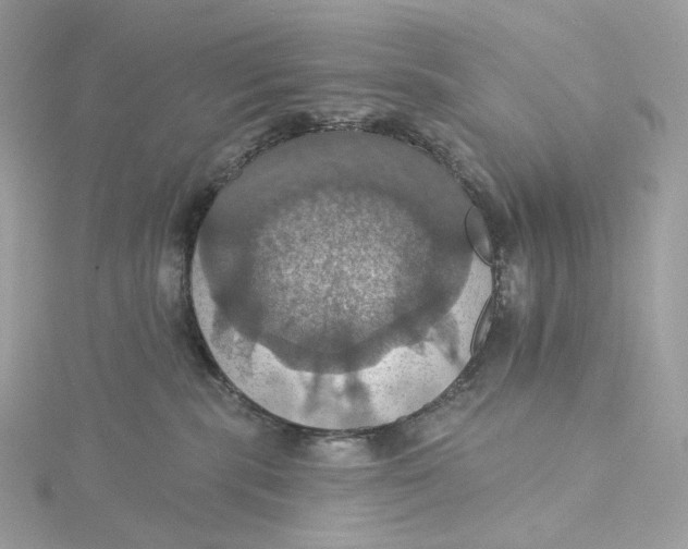 X0000115450283200911251313