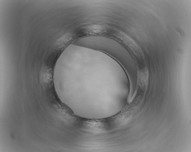 X0000115450284200911251313