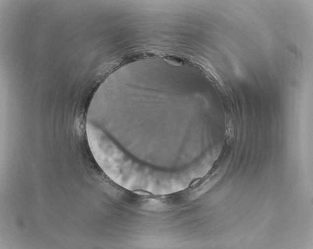 X0000115450285200911251313