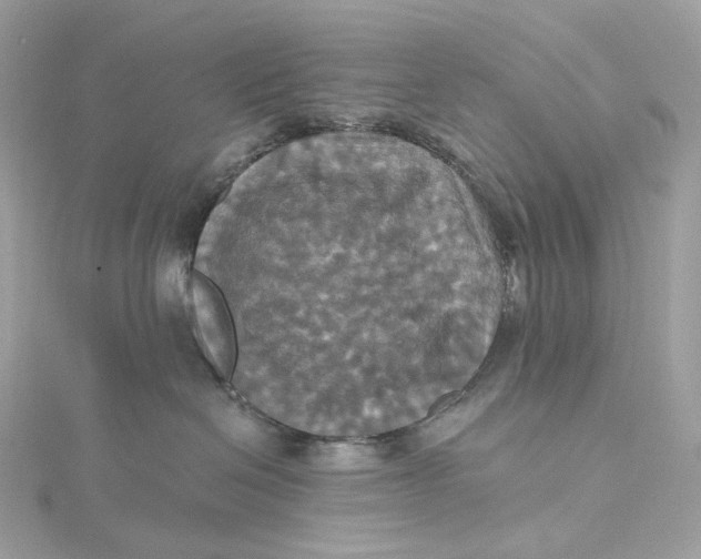 X0000115450286200911251313