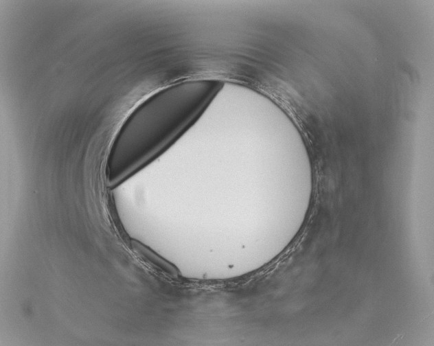 X0000115450289200911251313