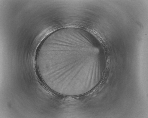 X0000115450290200911251313