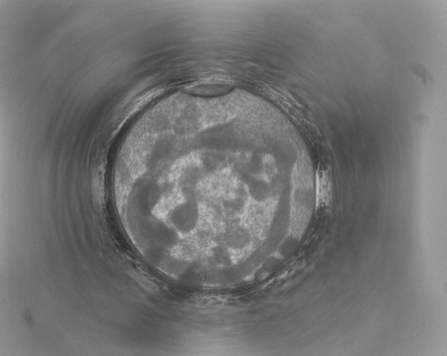 X0000115450291200911251313