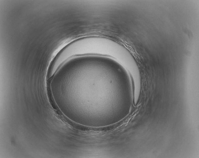 X0000115450292200911251313