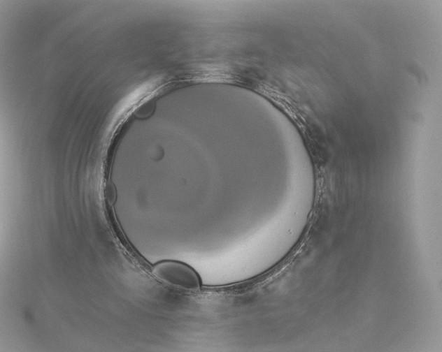 X0000115450293200911251313