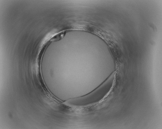 X0000115450294200911251313