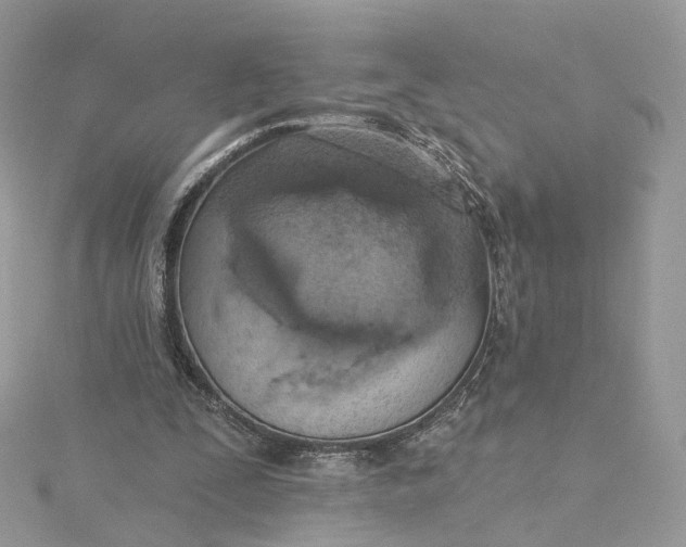 X0000115450295200911251313