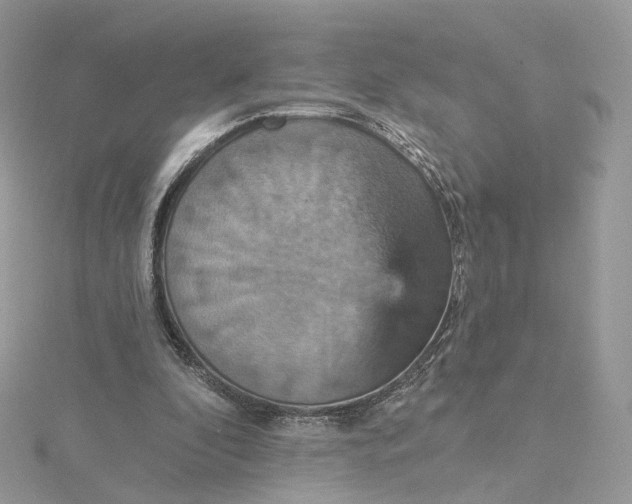 X0000115450296200911251313