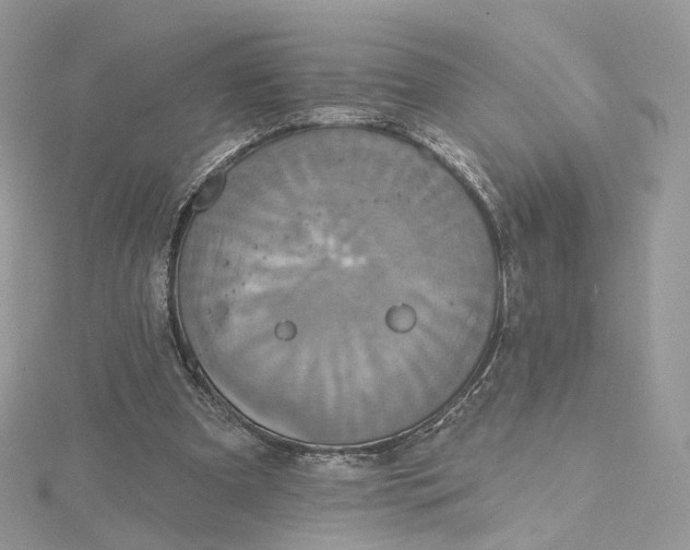 X0000115450297200911251313