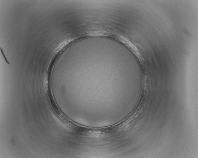 X0000115450298200911251313