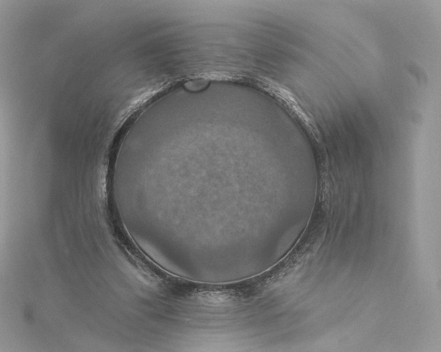 X0000115450299200911251313