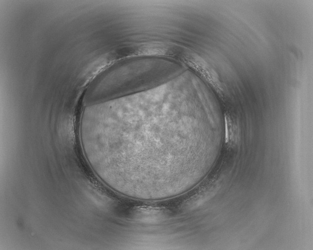 X0000115450300200911251313