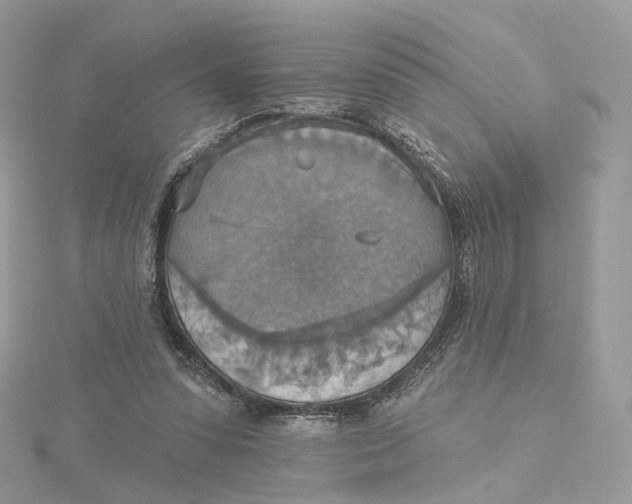 X0000115450303200911251313