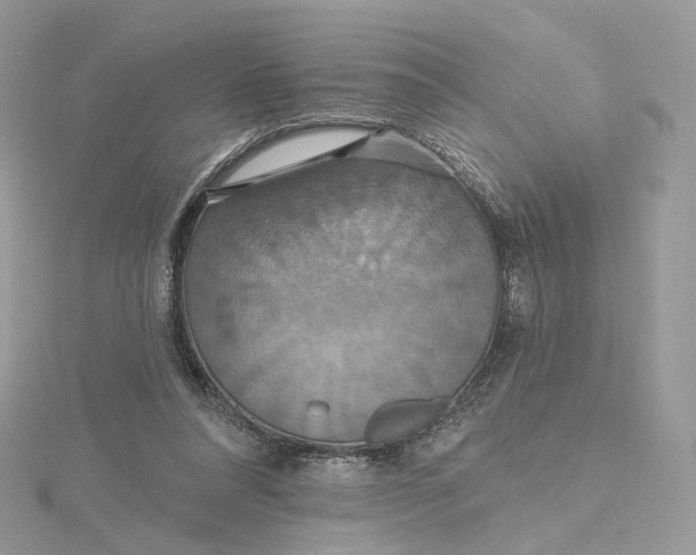 X0000115450304200911251312