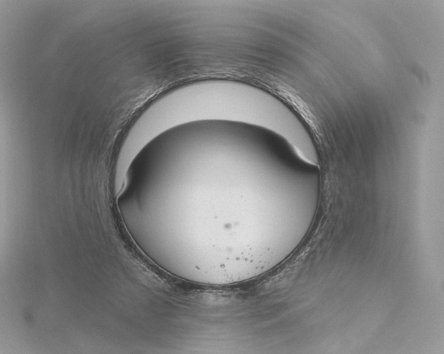 X0000115450305200911251312