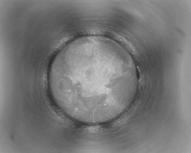 X0000115450306200911251312