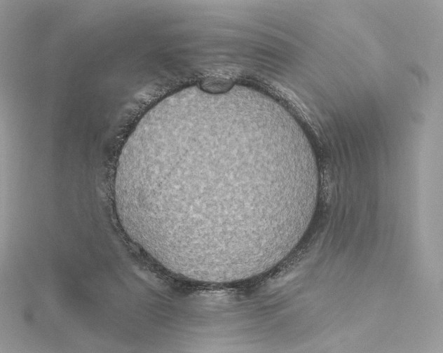 X0000115450307200911251312