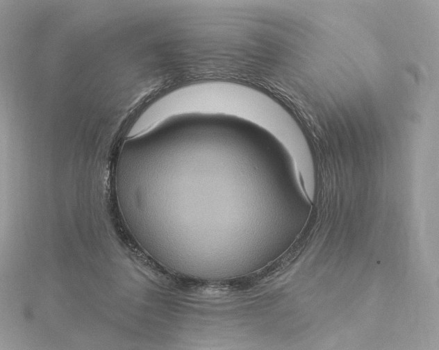 X0000115450308200911251312