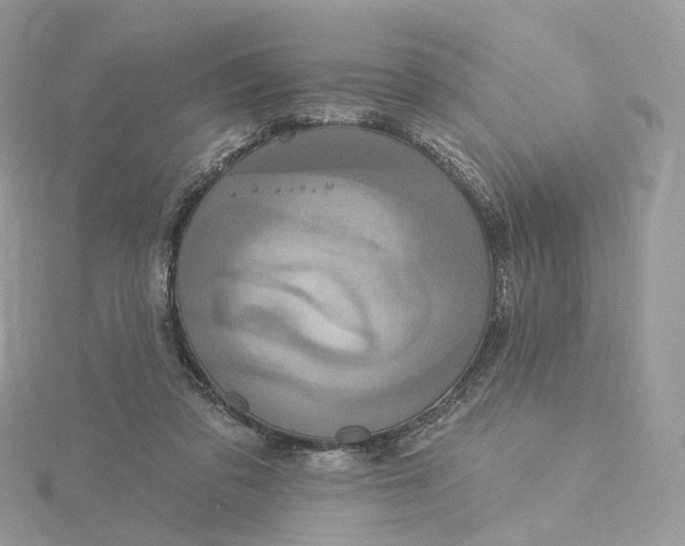 X0000115450309200911251312