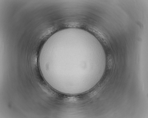 X0000115450310200911251312