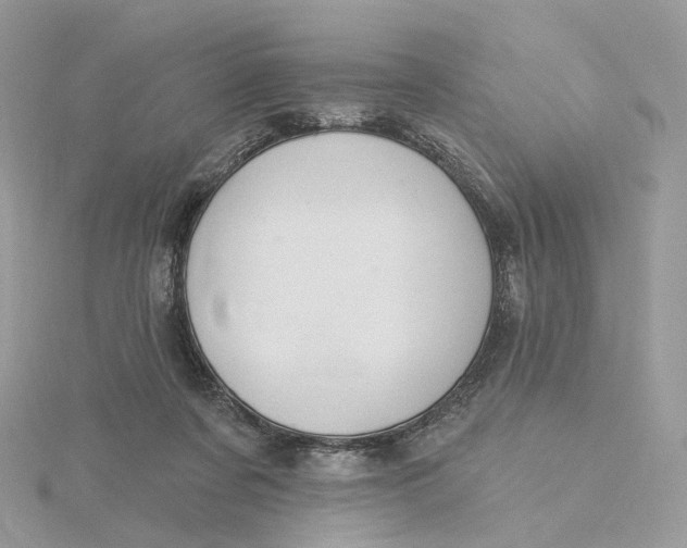 X0000115450311200911251312