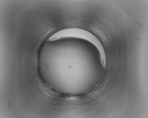 X0000115450312200911251312