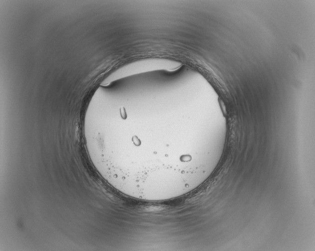 X0000115450313200911251312