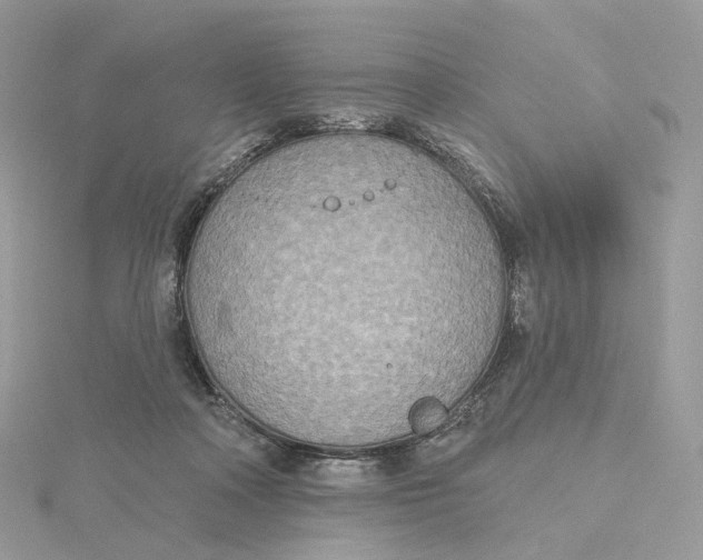 X0000115450314200911251312