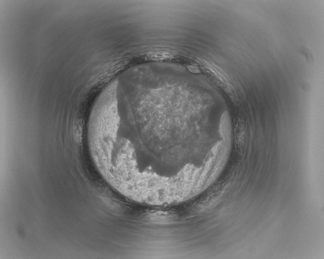 X0000115450315200911251312