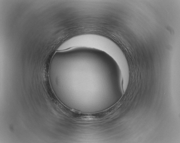 X0000115450316200911251312