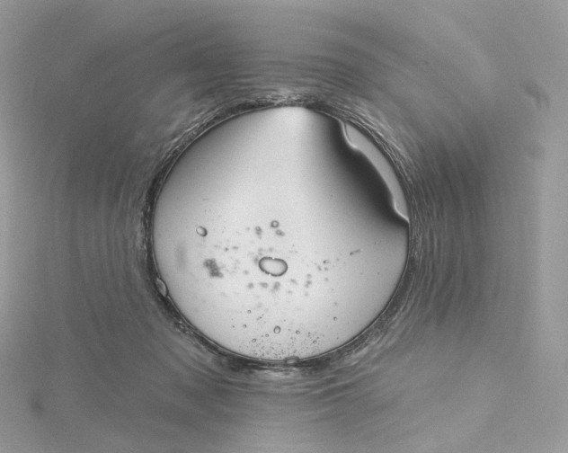 X0000115450317200911251312