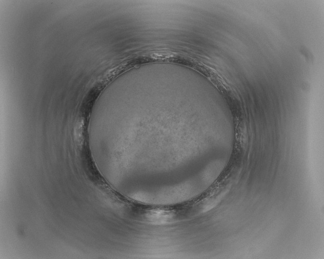 X0000115450319200911251312