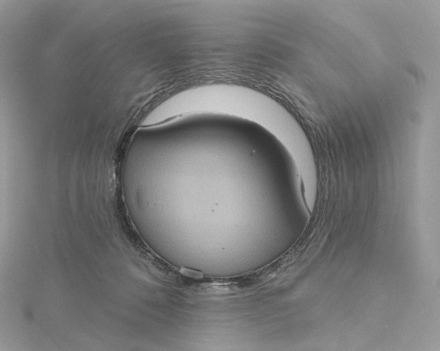 X0000115450320200911251312