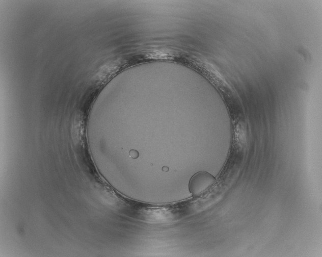 X0000115450322200911251312