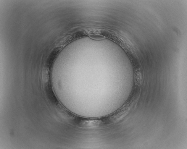 X0000115450323200911251312