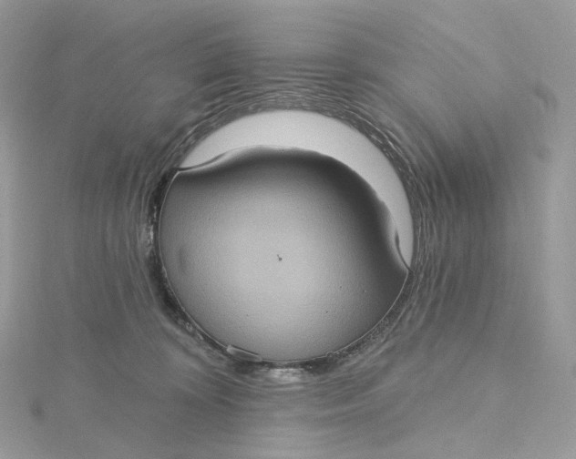 X0000115450324200911251312