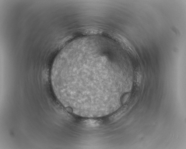 X0000115450326200911251312