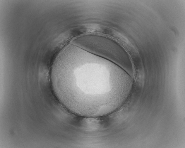 X0000115450327200911251312