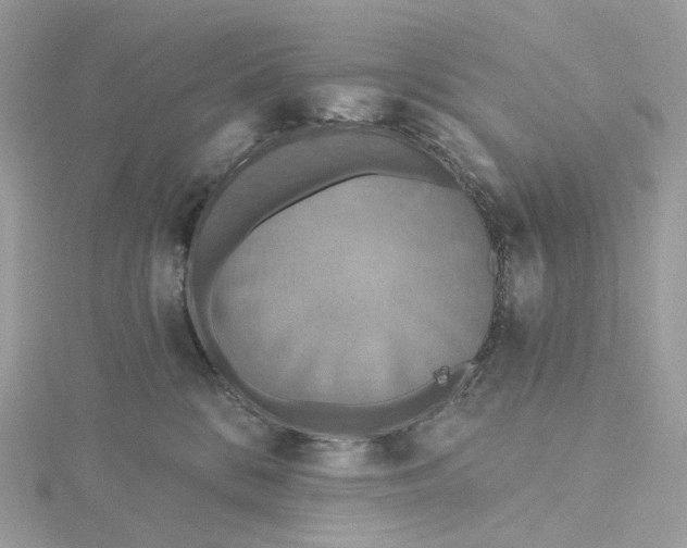 X0000115450328200911251312