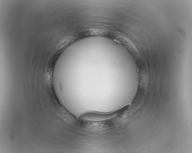 X0000115450329200911251312