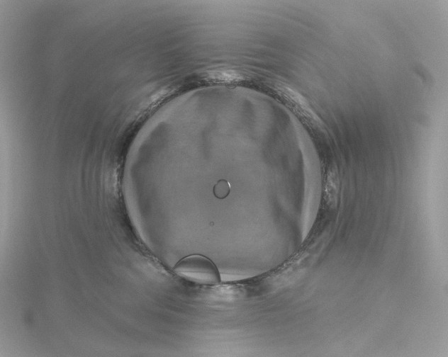 X0000115450330200911251312