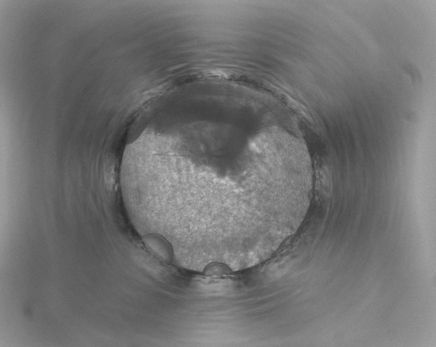 X0000115450331200911251312