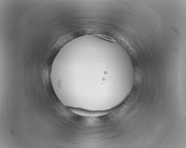 X0000115450333200911251312