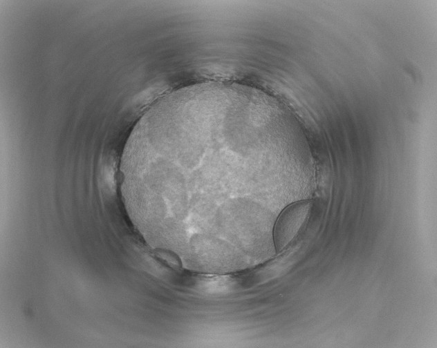 X0000115450334200911251312