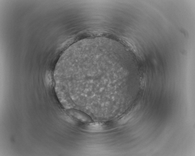 X0000115450335200911251312