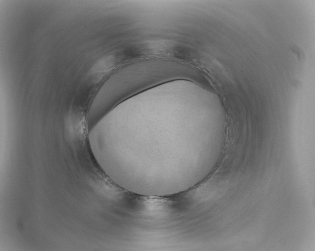 X0000115450336200911251312